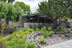 Jardin sans entretien 
